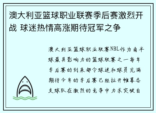 澳大利亚篮球职业联赛季后赛激烈开战 球迷热情高涨期待冠军之争