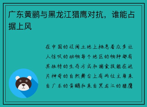 广东黄鹂与黑龙江猎鹰对抗，谁能占据上风